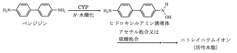 解説画像